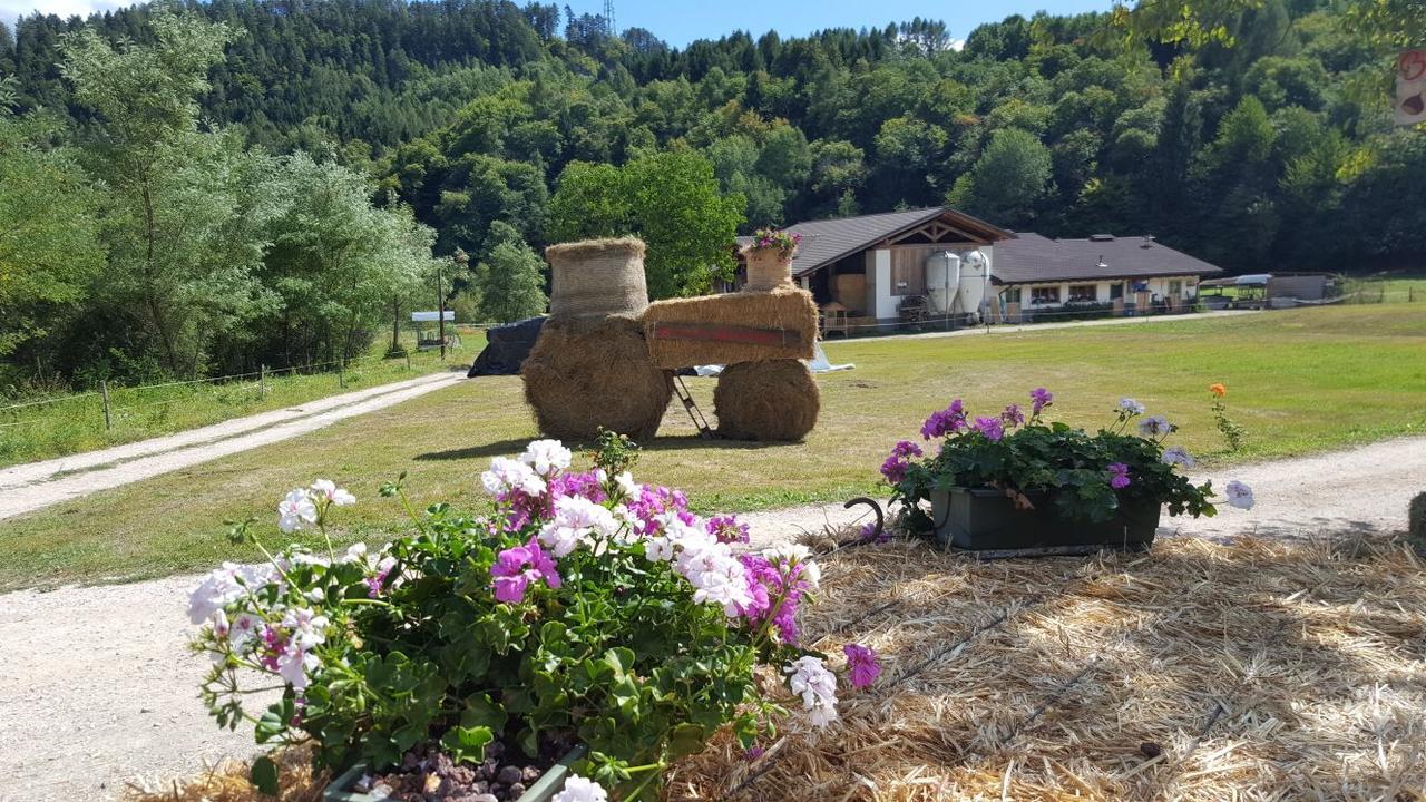 Agriturismo Fattoria Dalcastagne Torcegno المظهر الخارجي الصورة