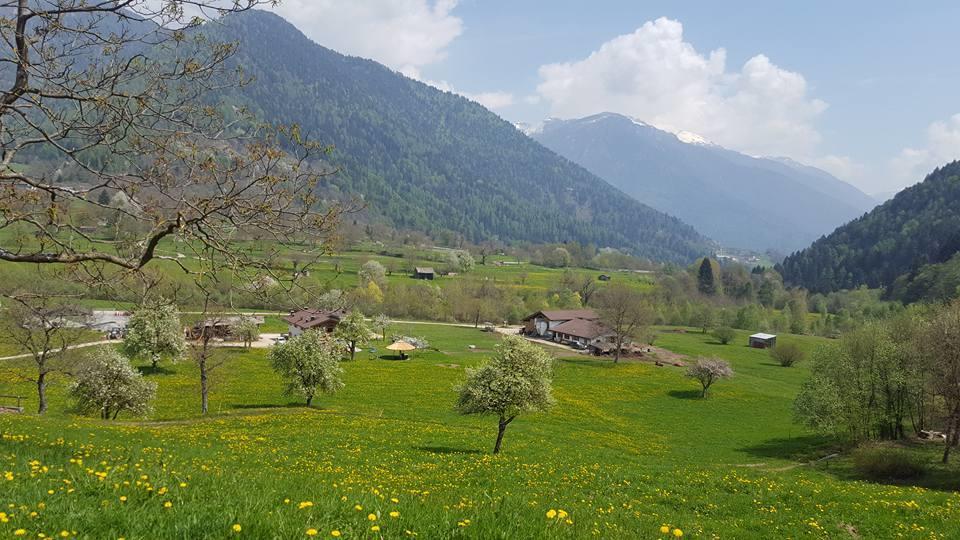 Agriturismo Fattoria Dalcastagne Torcegno المظهر الخارجي الصورة